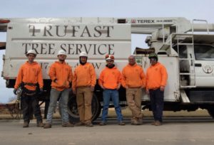trufast tree service truck and crew