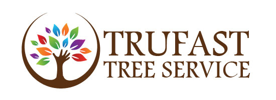 trufast logo